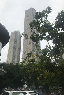 世茂茶亭臻園綜合評析：優(yōu)點、不足及周邊中介評價